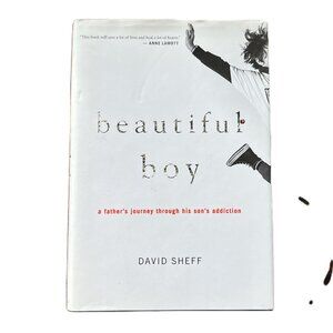 Beautiful Boy, A Father's Journey Through His Son's Addiction by David Sheff
